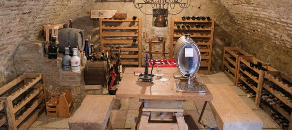 Дом с 10 комнатами в Лангенлойс, Австрия № 24830 22