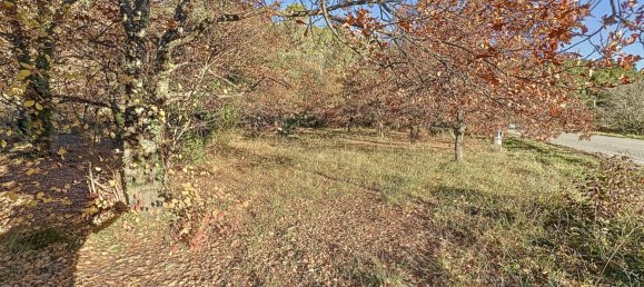  Land in Entrechaux, France No. 59774 6