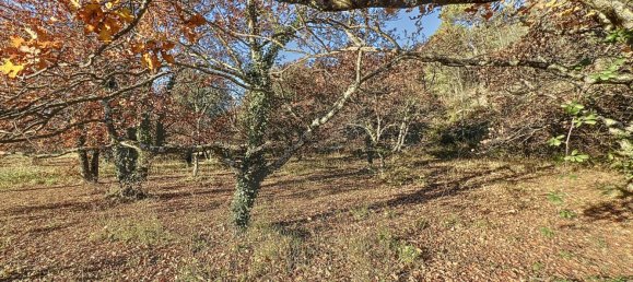  Land in Entrechaux, France No. 59774 5