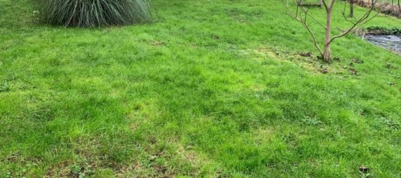 Casa de 5 dormitorios en Vernou-sur-Brenne, France No. 38446 14