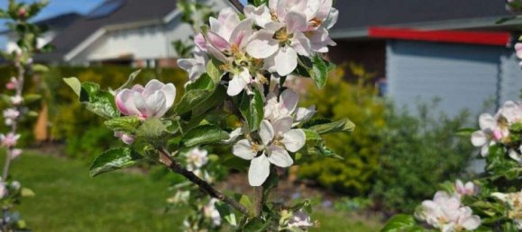 2 bedrooms Bungalow in Cuxhaven, Germany No. 206864 19