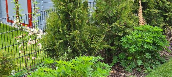 2 bedrooms Bungalow in Cuxhaven, Germany No. 206864 21