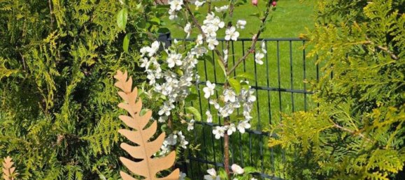 2 bedrooms Bungalow in Cuxhaven, Germany No. 206864 20