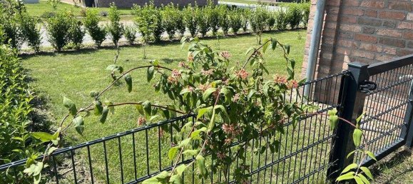 2 bedrooms Bungalow in Cuxhaven, Germany No. 206864 22