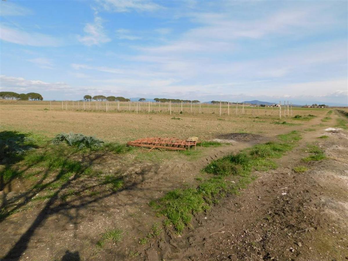 Casa de 6 dormitorios en Grosseto, Italy No. 1250