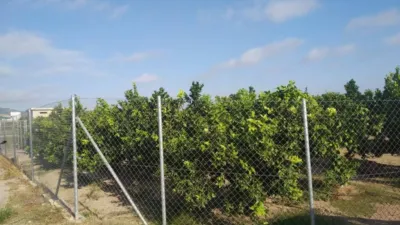 Gewerbliche Immobilie in Favara, Spain, Nr. 133727