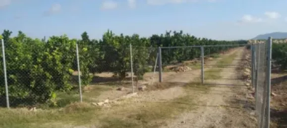 Gewerbliche Immobilie in Favara, Spain, Nr. 133727 7