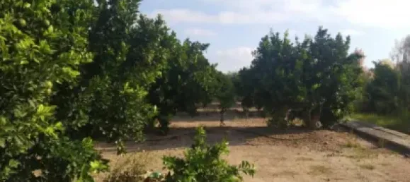 Gewerbliche Immobilie in Favara, Spain, Nr. 133727 5