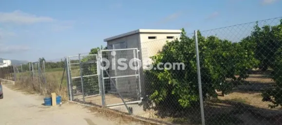 Gewerbliche Immobilie in Favara, Spain, Nr. 133727 2