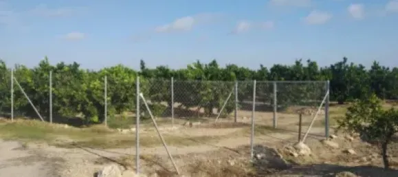 Gewerbliche Immobilie in Favara, Spain, Nr. 133727 12