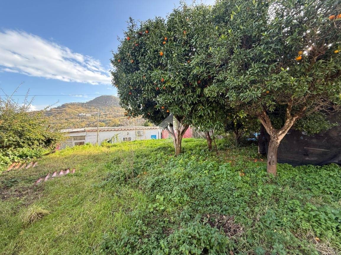 1 bedroom House in Barano d'Ischia, Italy No. 144532