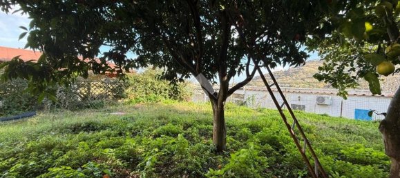 1 bedroom House in Barano d'Ischia, Italy No. 144532 4