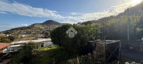 1 bedroom House in Barano d'Ischia, Italy No. 144532 19