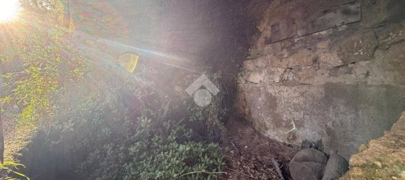 1 bedroom House in Barano d'Ischia, Italy No. 144532 23