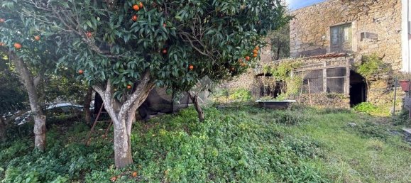 1 bedroom House in Barano d'Ischia, Italy No. 144532 3