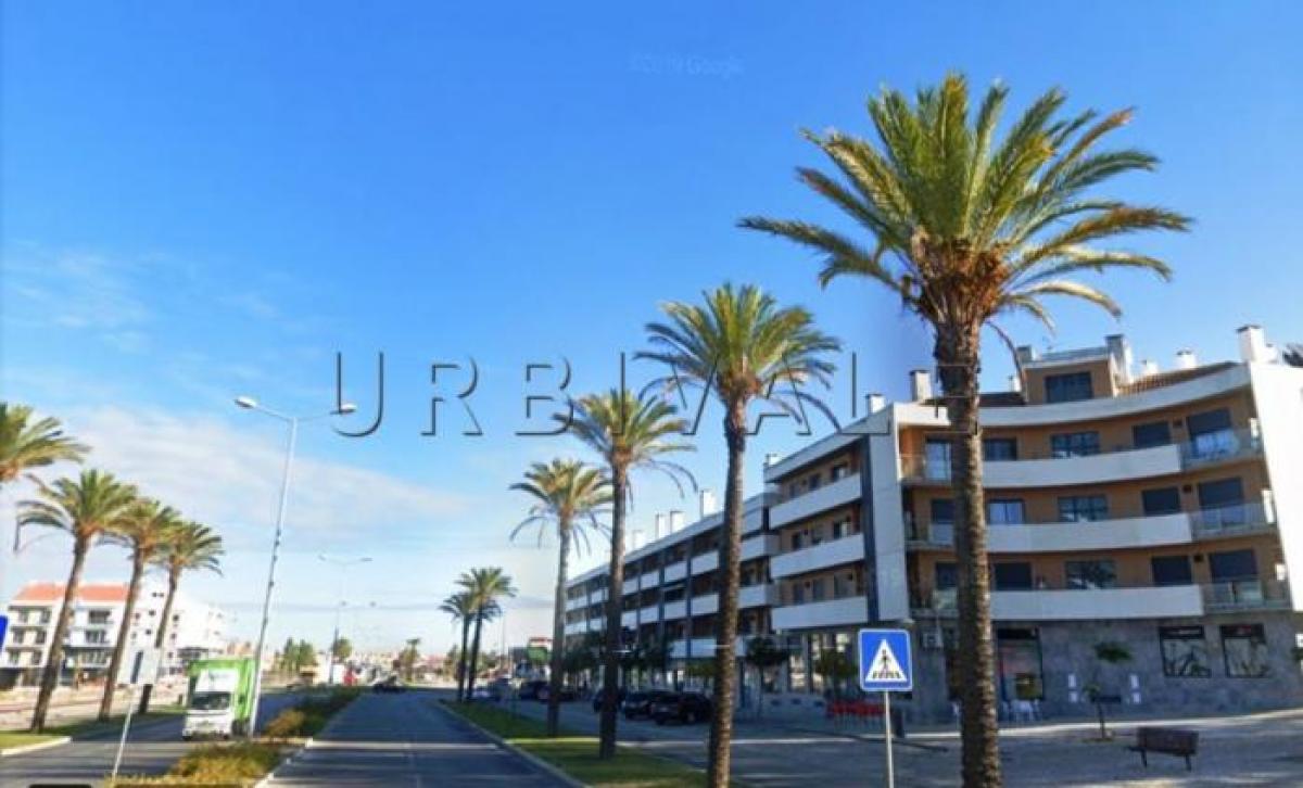 Grundstück in Palmela, Portugal, Nr. 9012