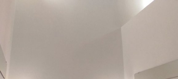 3 غرف نوم بانتهاوس في Rome, Italy رقم 338023 21