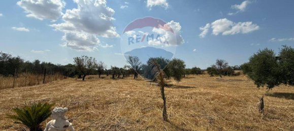 1 Schlafzimmer Villa in Matera, Italy, Nr. 345218 11