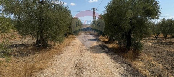 1 Schlafzimmer Villa in Matera, Italy, Nr. 345218 14