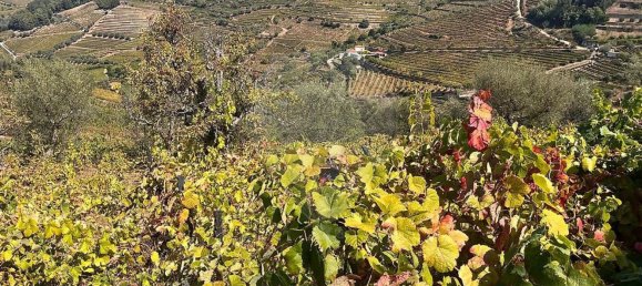 1 غرف نوم منزل في Cambres, Portugal رقم 184290 2