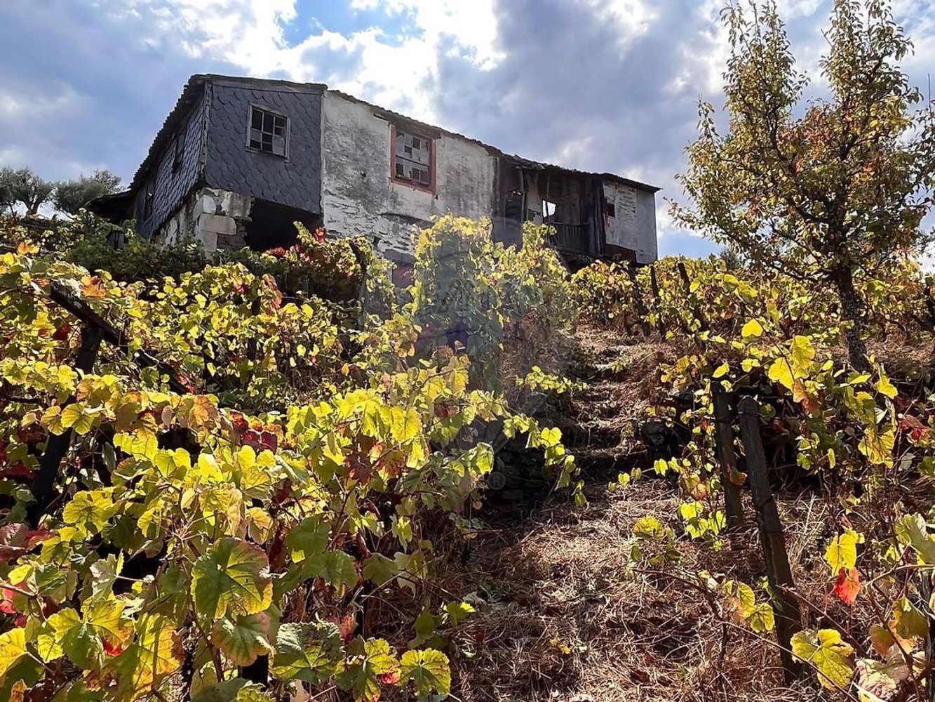 1 غرف نوم منزل في Cambres, Portugal رقم 184290