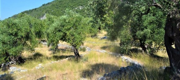 4127m² Hotel in Corfu, Greece No. 4129 4