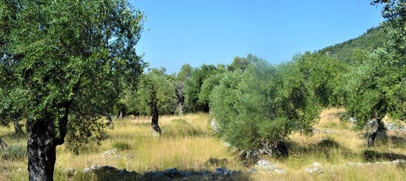 4127m² Hotel in Corfu, Greece No. 4129 8