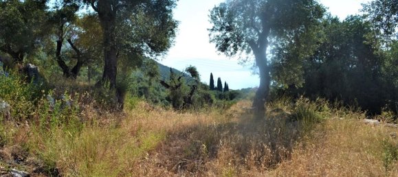 4127m² Hotel in Corfu, Greece No. 4129 9