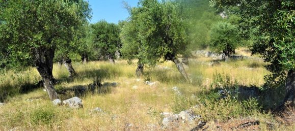 4127m² Hotel in Corfu, Greece No. 4129 5