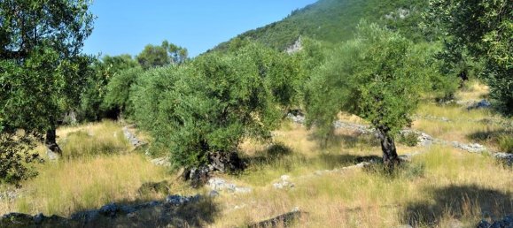 4127m² Hotel in Corfu, Greece No. 4129 3