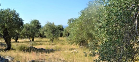 4127m² Hotel in Corfu, Greece No. 4129 2