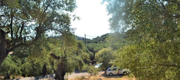 4127m² Hotel in Corfu, Greece No. 4129 10