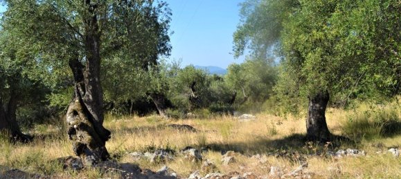 4127m² Hotel in Corfu, Greece No. 4129 7