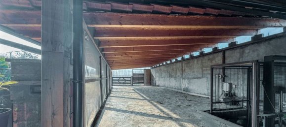 4 غرف نوم منزل في Piedmont, Italy رقم 377481 11