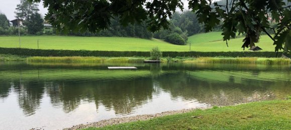 4 rooms Apartment in Upper Austria, Austria No. 146629 7