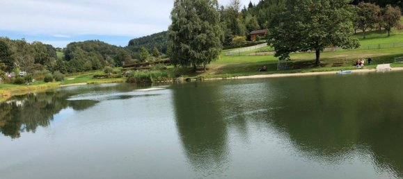 4 rooms Apartment in Upper Austria, Austria No. 146629 8