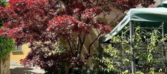 Villa de 4 dormitorios en Meina, Italy No. 272816 15