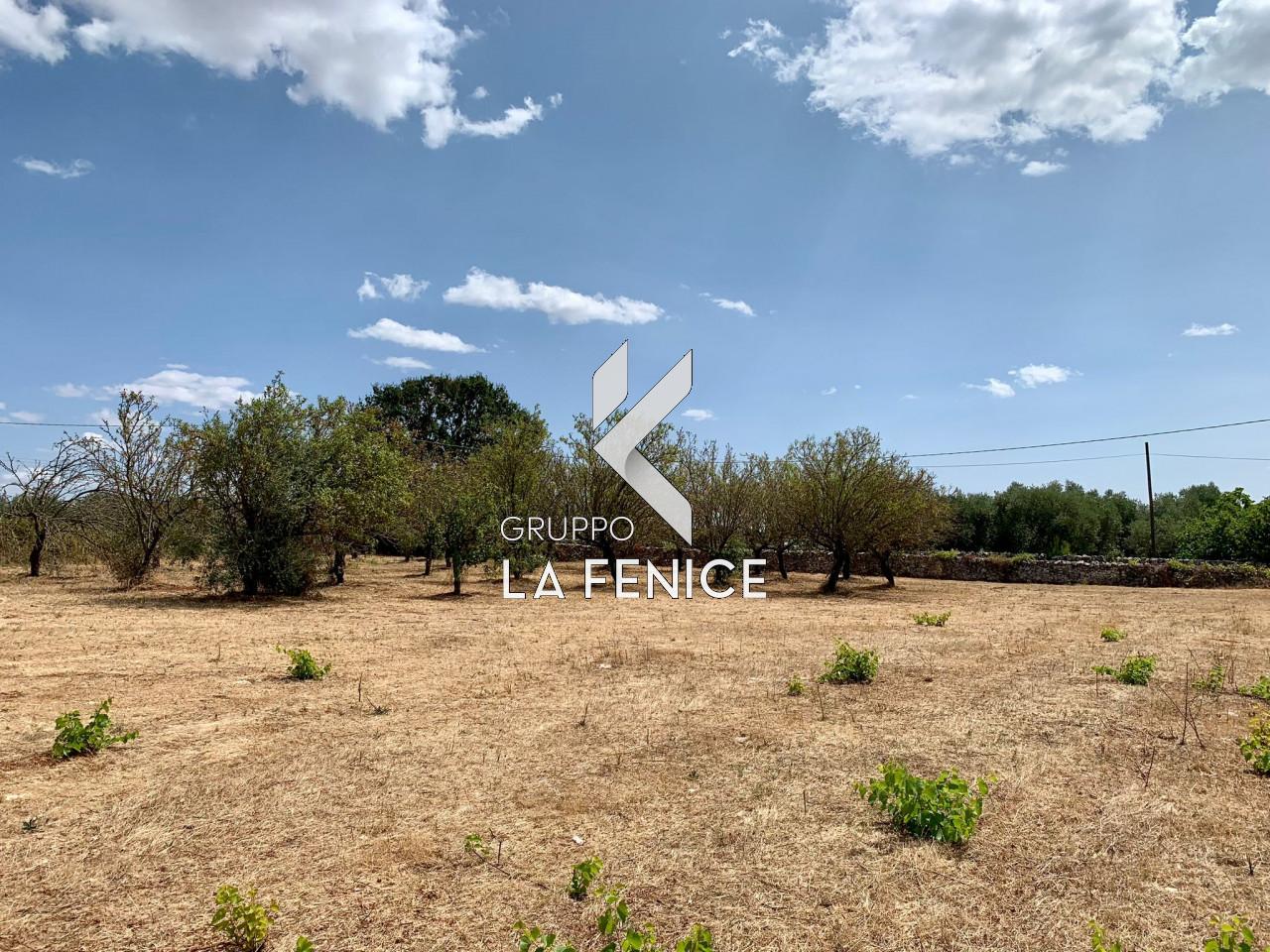 Grundstück in Martina Franca, Italy 6113m², Nr. 23590