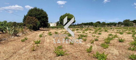 Grundstück in Martina Franca, Italy 6113m², Nr. 23590 10