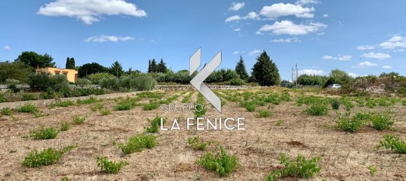 Grundstück in Martina Franca, Italy 6113m², Nr. 23590 11