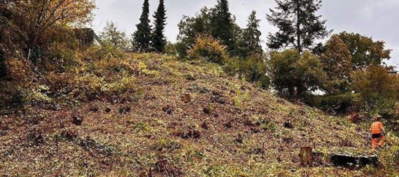 Земельный участок в Нюрнбергер-Ланд, Германия № 339529 2