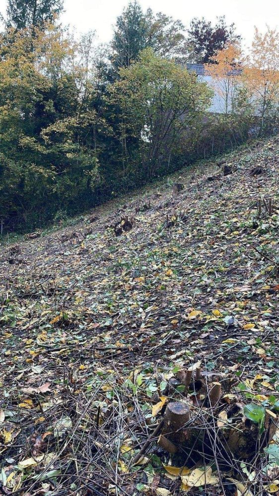 Земельный участок в Нюрнбергер-Ланд, Германия № 339529