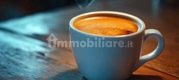 Коммерческая недвижимость с 5 комнатами в Флоренция, Италия № 108150 11