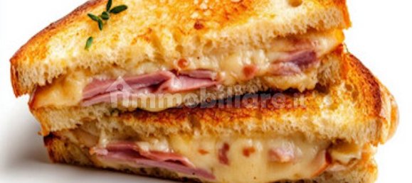 Коммерческая недвижимость с 5 комнатами в Флоренция, Италия № 108150 13