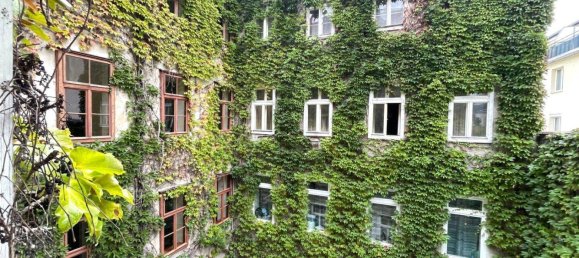 Studio in Meidling, Austria No. 98710 2