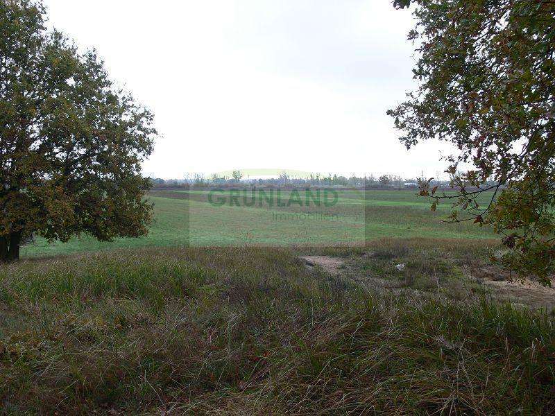 Terreno em Oberhavel, Germany 210120 m² N.º 34261