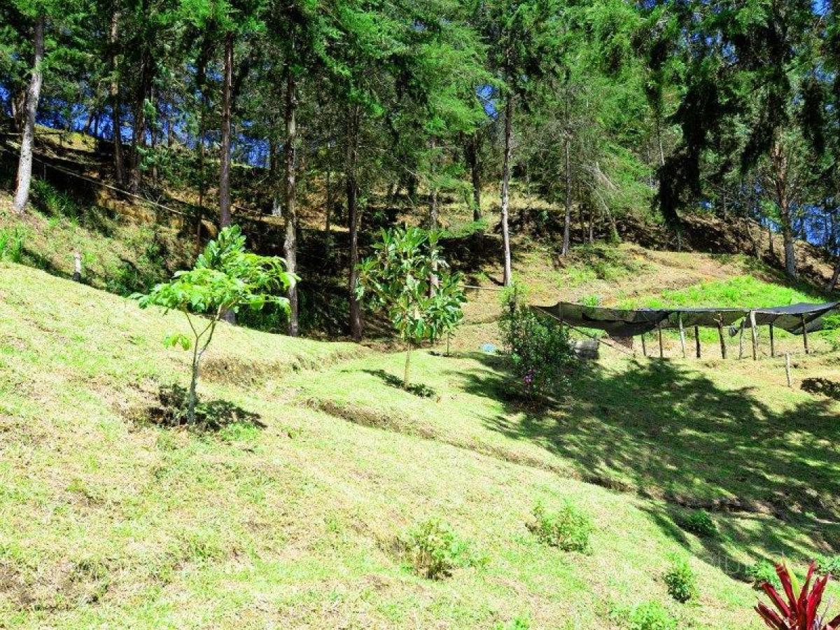  Land in Antioquia, Colombia No. 454