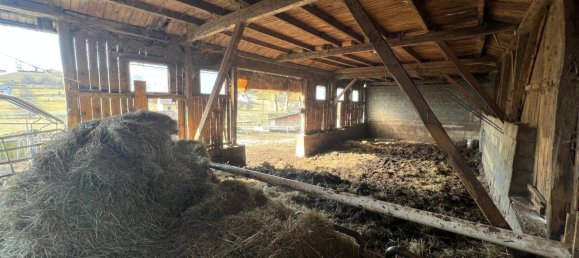 Casa de 3 habitaciónes en Inzenhof, Austria No. 125908 19