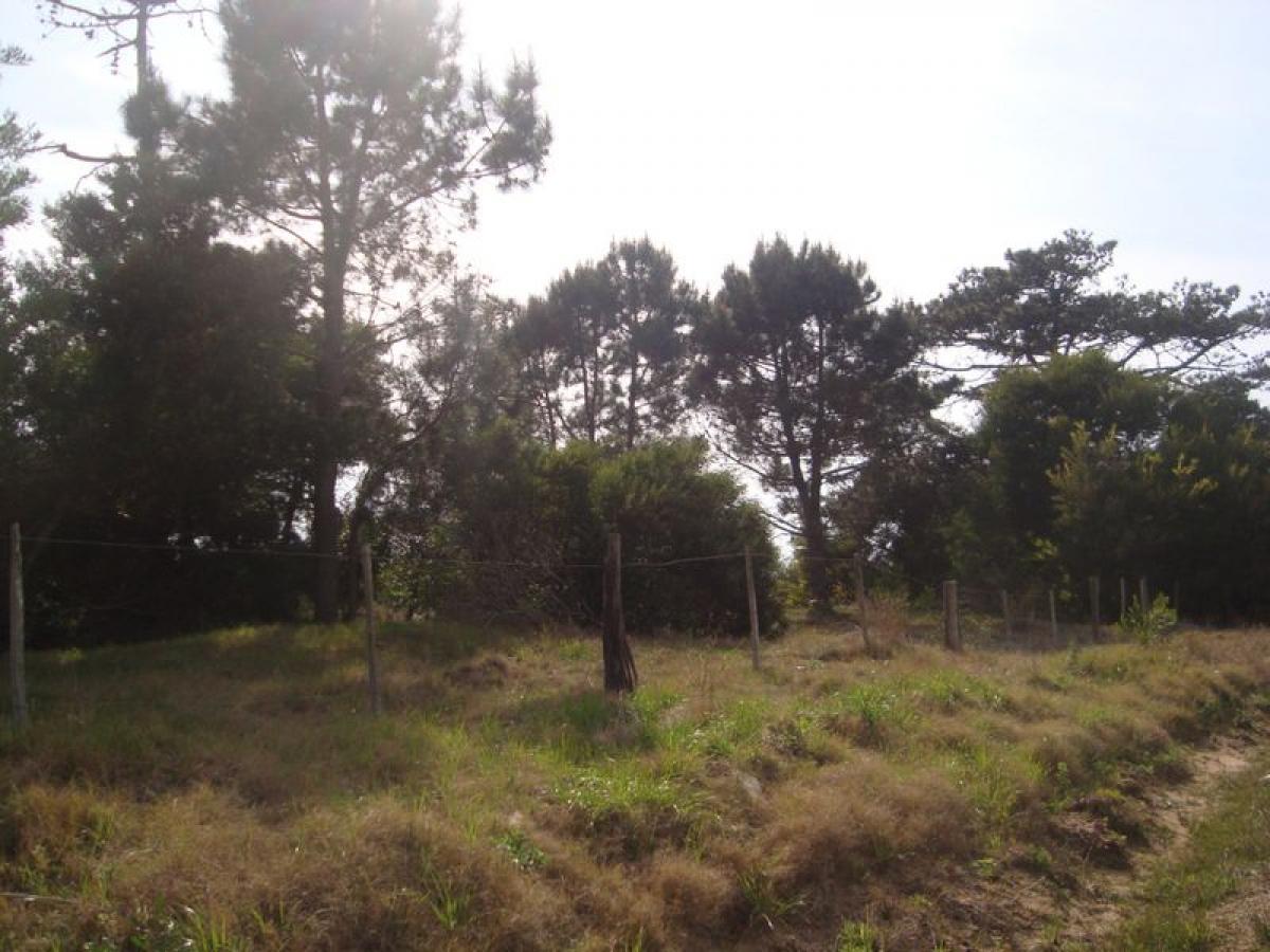 Grundstück in Maldonado, Uruguay, Nr. 15307