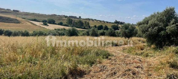 30000m² Land in Cerveteri, Italy No. 125109 2